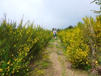 Italien, Cilento, Wanderung Monte Stella