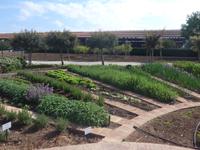 Italien, Paestum, Wasserbüffelfarm Vannulo