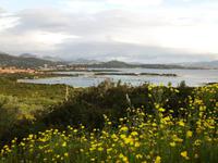 Blick auf die Küste der Gallura