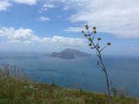 Italien, Wanderung Sorrentinische Halbinsel, Ferula mit Capri