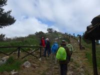 Italien, Wanderung Sorrentinische Halbinsel, am Monte Costanzo