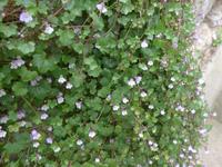 Italien, Wanderung Götterpfad, 