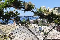 Viel Weiß auf Capri