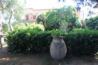 Schöne Gärten auf Capri