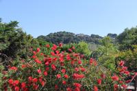 Blick hinauf zur Villa Jovis