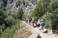 Wanderung über der Steilküste Pizzolungo