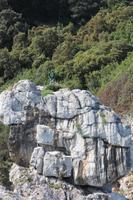 Wir werden begrüßt 