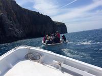 Bootsfahrt am Kap Palinuro