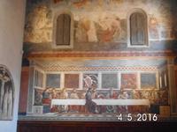  52 Fresco in Sant`Apollonia