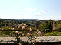 56  Blick vom Garten in die toscanische Landschaft