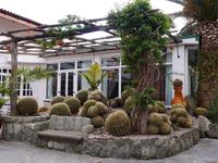 Forio, Park Hotel Terme Mediterraneo