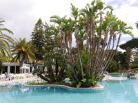 Forio, Park Hotel Terme Mediterraneo