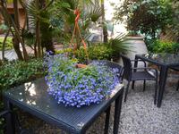 Sestri Levante, Hotel Due Mari