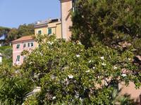 Sestri Levante, Hotel Due Mari