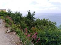 Weg von Levanto nach Monterosso