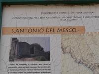 Sant Antonio Ruine, Punta Mesco