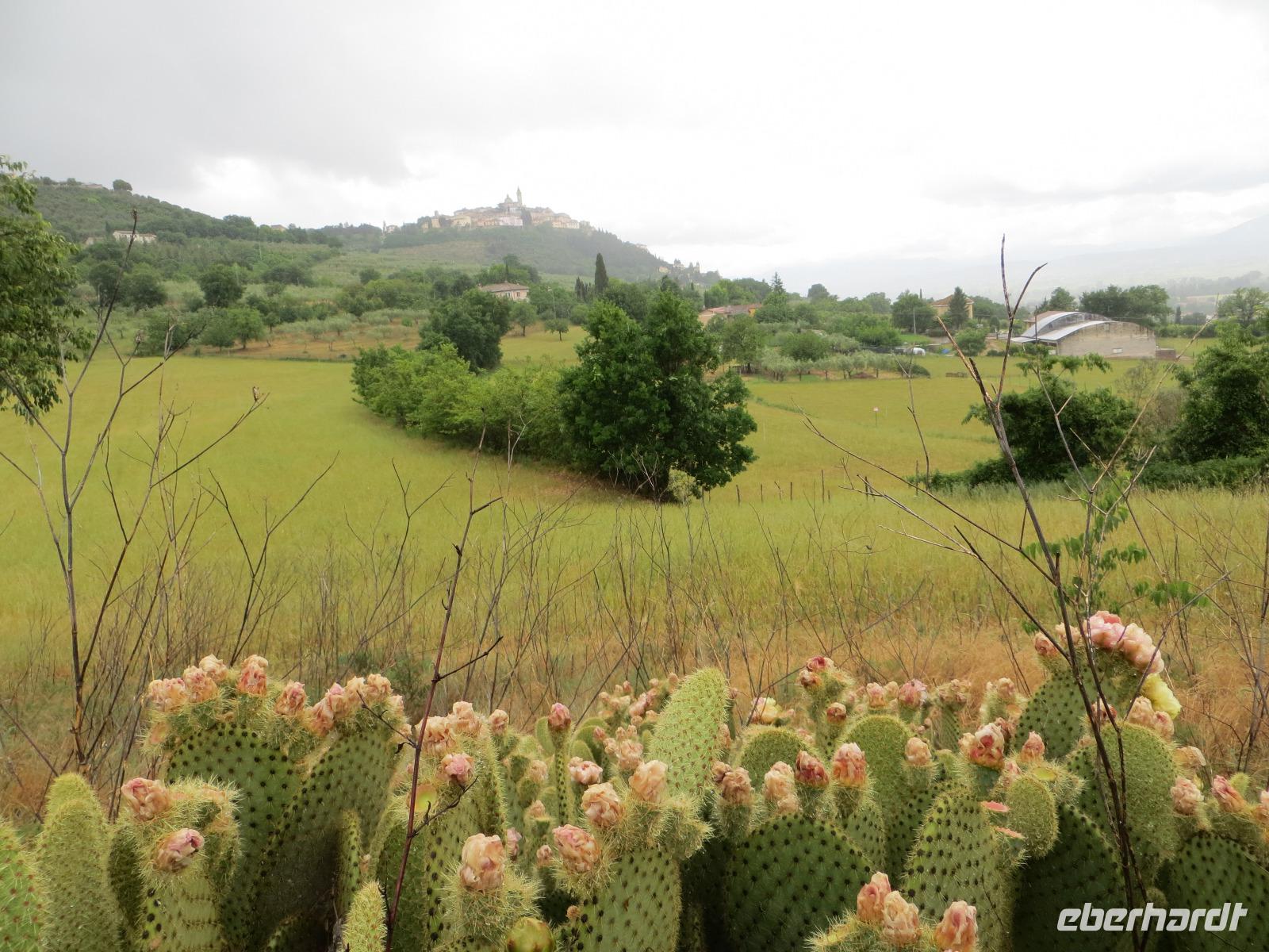 056 umbrische Landschaft bei Trevi
