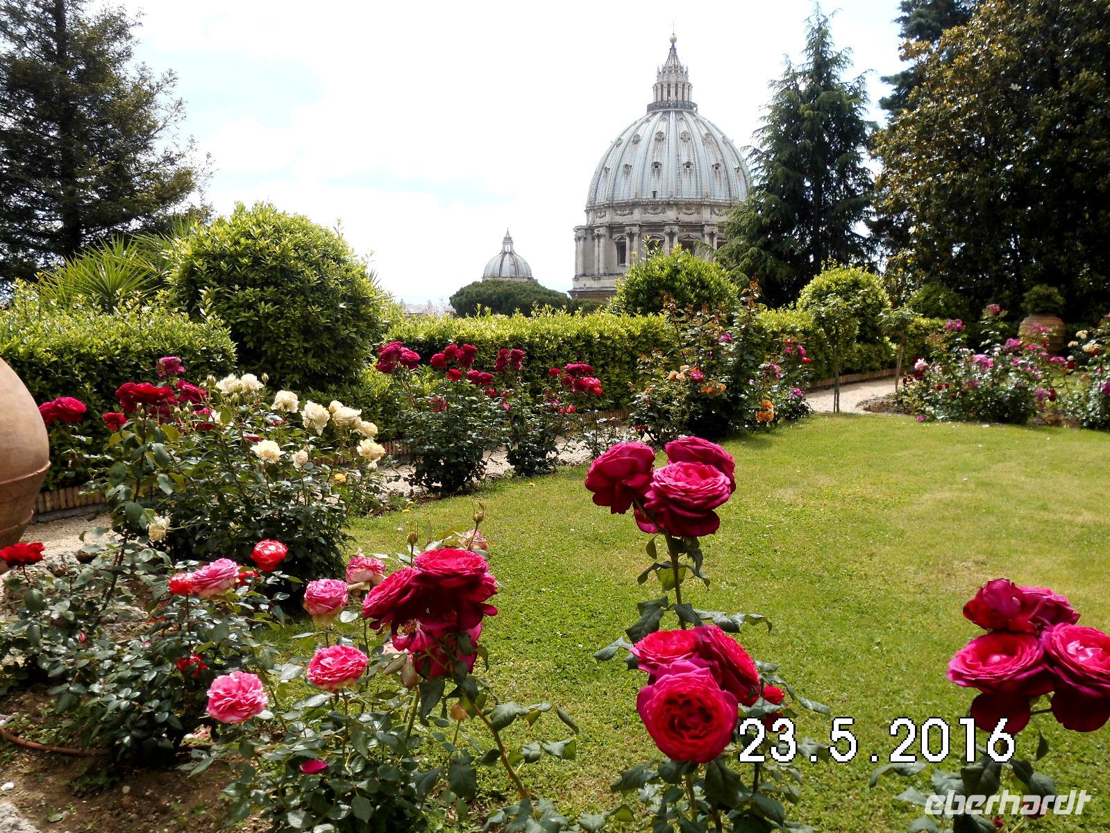 Blick vom Garten auf die Kuppel der Peterskirche