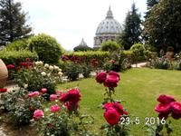 Blick vom Garten auf die Kuppel der Peterskirche