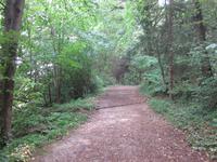 Weg zum Kalterer See