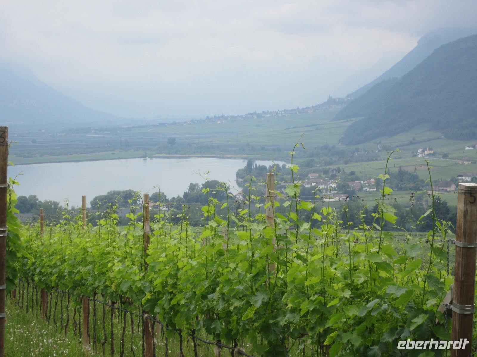 Blick zum Kalterer See