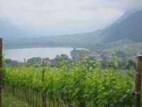 Blick zum Kalterer See