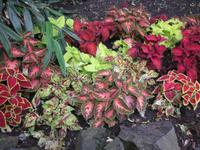 an der Gilfpromenade