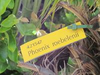 Botan. Gärten Trauttmannsdorf