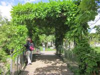 Botan. Gärten Trauttmannsdorf