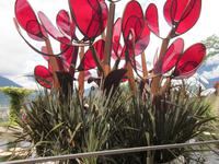 Botan. Gärten Trauttmannsdorf