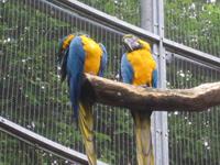 Botan. Gärten Trauttmannsdorf