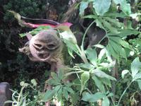 Botan. Gärten Trauttmannsdorf - verbotener Garten