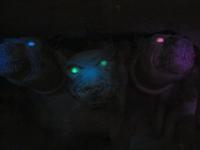 Botan. Gärten Trauttmannsdorf - Eingang botan. Unterwelt