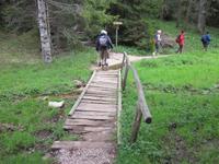 Weg zum Felix Weiher