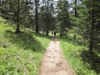 Weg zum Felix Weiher