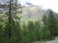 Weg zur Lazinser Alm