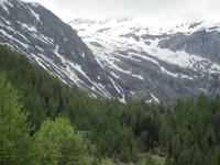 Weg zur Lazinser Alm