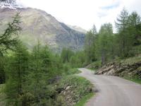 Weg zur Lazinser Alm