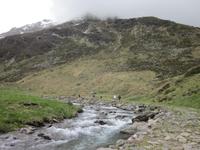 Weg zur Lazinser Alm