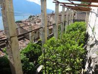 Limone - Limonaia del Castel