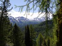 Weg zum Lago delle Malghette