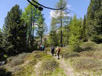 Weg zum Lago delle Malghette