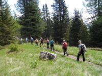 Weg zum Lago delle Malghette