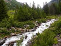 Stilfser Joch National Park 