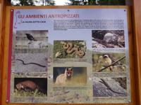 Stilfser Joch National Park  - Fauna