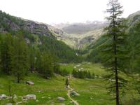 Stilfser Joch National Park 