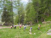 Stilfser Joch National Park 