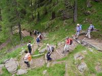 Stilfser Joch National Park 