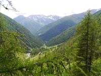 Stilfser Joch National Park 