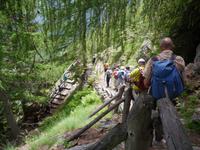 Stilfser Joch National Park 